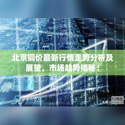 2025年5月12日 第35页