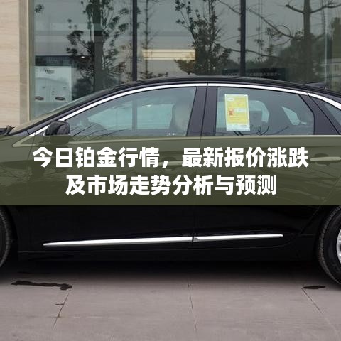 今日铂金行情，最新报价涨跌及市场走势分析与预测