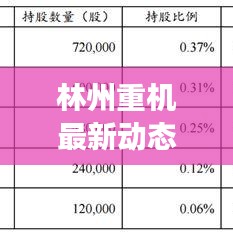林州重机最新动态分析，今日市场解读