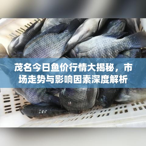 2025年5月12日 第30页