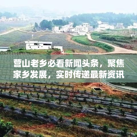 营山老乡必看新闻头条，聚焦家乡发展，实时传递最新资讯