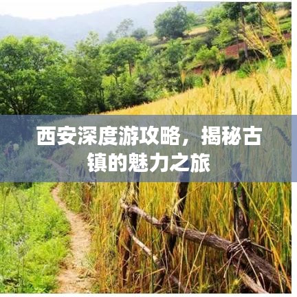 西安深度游攻略，揭秘古镇的魅力之旅