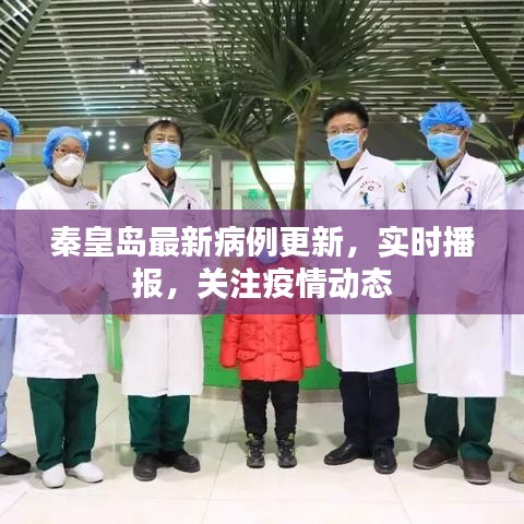 秦皇岛最新病例更新，实时播报，关注疫情动态
