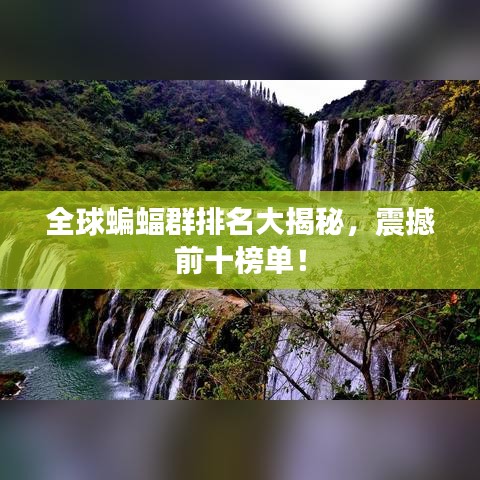 全球蝙蝠群排名大揭秘，震撼前十榜单！