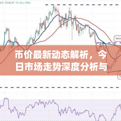 币价最新动态解析，今日市场走势深度分析与精准预测