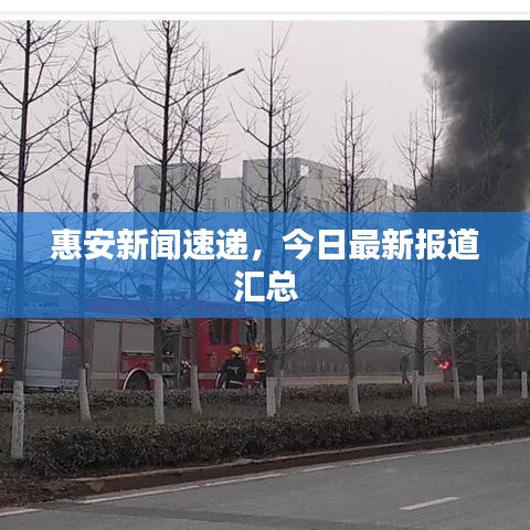 惠安新闻速递，今日最新报道汇总