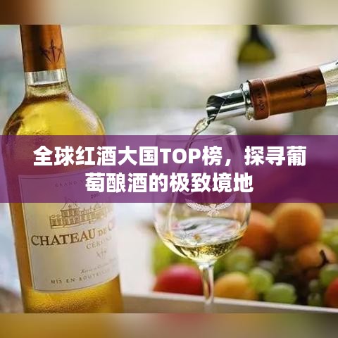 全球红酒大国TOP榜，探寻葡萄酿酒的极致境地