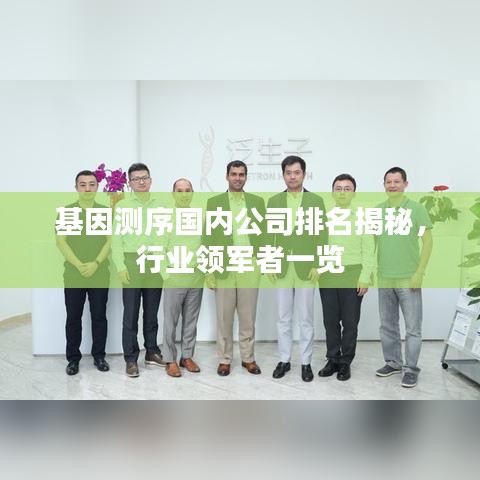 基因测序国内公司排名揭秘，行业领军者一览