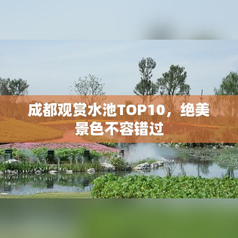 成都观赏水池TOP10，绝美景色不容错过