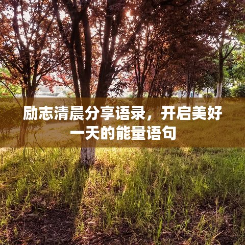 励志清晨分享语录，开启美好一天的能量语句
