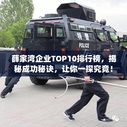 薛家湾企业TOP10排行榜，揭秘成功秘诀，让你一探究竟！