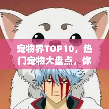 宠物界TOP10，热门宠物大盘点，你养对了吗？