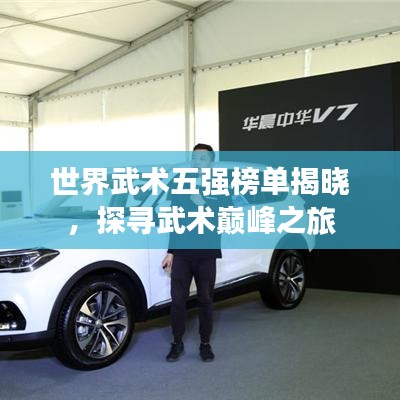 世界武术五强榜单揭晓，探寻武术巅峰之旅