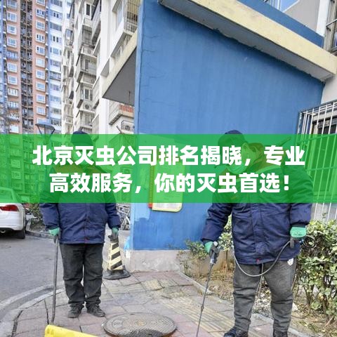 北京灭虫公司排名揭晓，专业高效服务，你的灭虫首选！