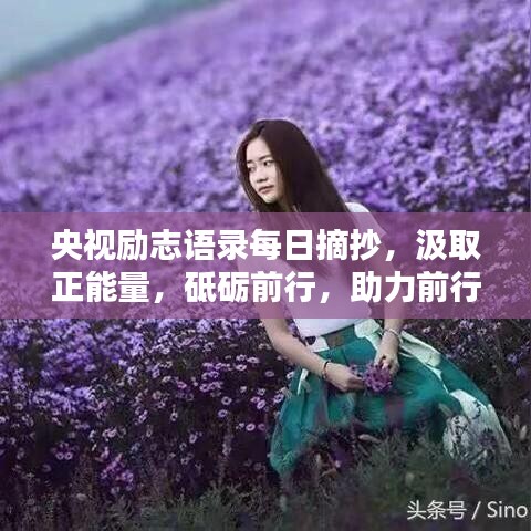 央视励志语录每日摘抄，汲取正能量，砥砺前行，助力前行路