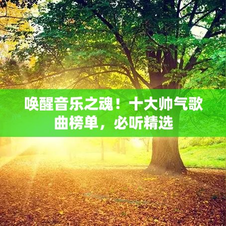 唤醒音乐之魂！十大帅气歌曲榜单，必听精选