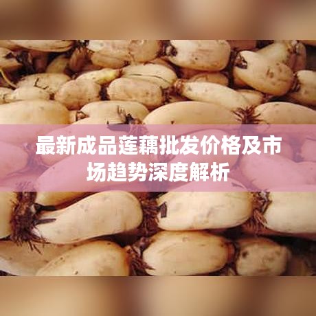 最新成品莲藕批发价格及市场趋势深度解析