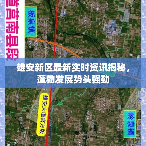 雄安新区最新实时资讯揭秘，蓬勃发展势头强劲