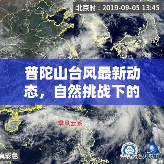 普陀山台风最新动态，自然挑战下的人类应对