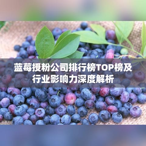 蓝莓授粉公司排行榜TOP榜及行业影响力深度解析