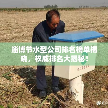 淄博节水型公司排名榜单揭晓，权威排名大揭秘！