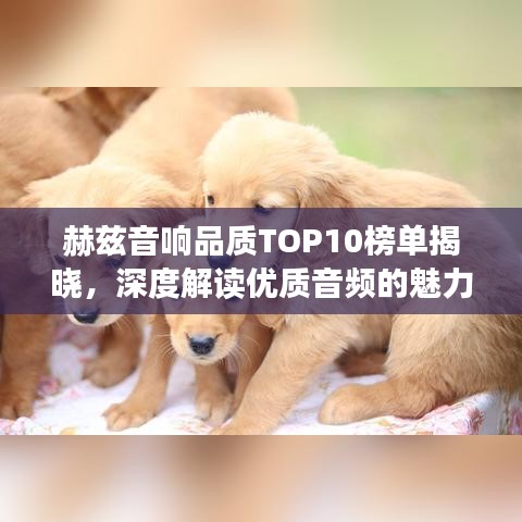 赫兹音响品质TOP10榜单揭晓，深度解读优质音频的魅力