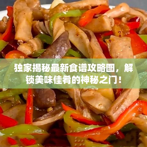 独家揭秘最新食谱攻略图，解锁美味佳肴的神秘之门！