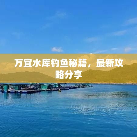 万宜水库钓鱼秘籍，最新攻略分享