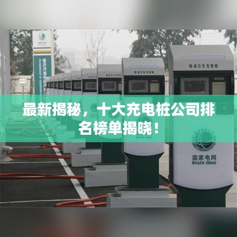 最新揭秘，十大充电桩公司排名榜单揭晓！