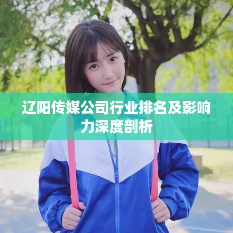 辽阳传媒公司行业排名及影响力深度剖析