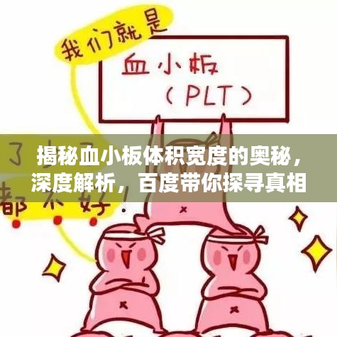2025年5月13日 第23页