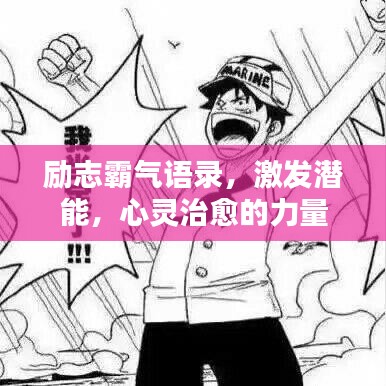 公司动态 第228页