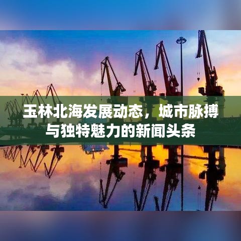玉林北海发展动态，城市脉搏与独特魅力的新闻头条