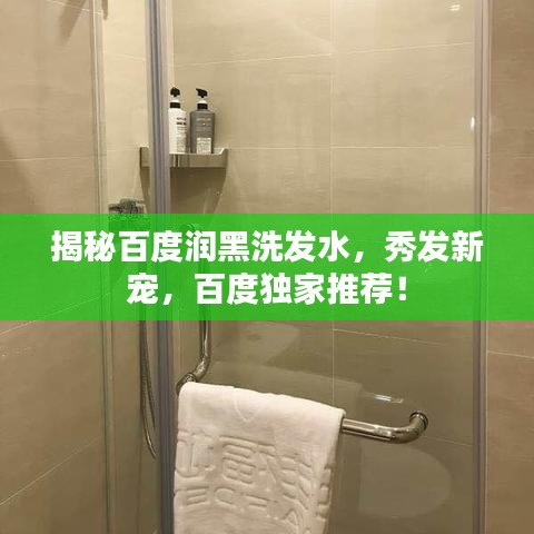 揭秘百度润黑洗发水，秀发新宠，百度独家推荐！