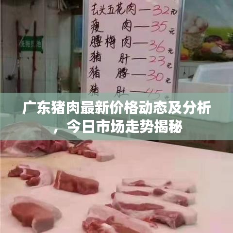 广东猪肉最新价格动态及分析，今日市场走势揭秘