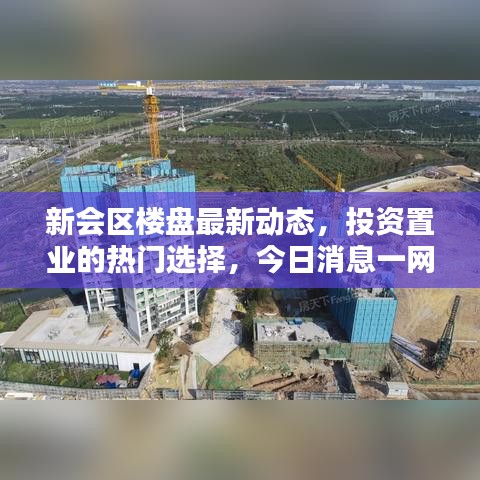 新会区楼盘最新动态，投资置业的热门选择，今日消息一网打尽！