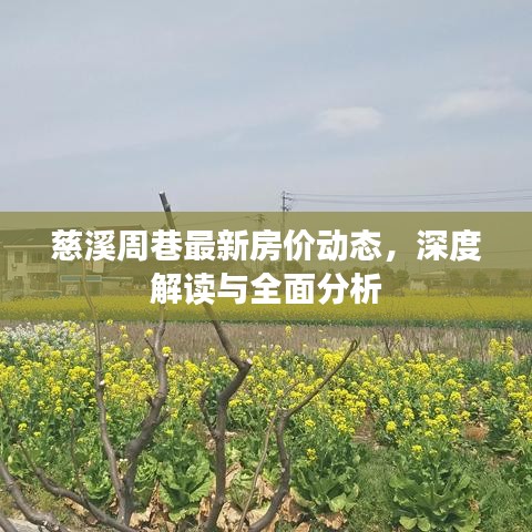 慈溪周巷最新房价动态，深度解读与全面分析