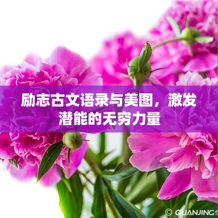 励志古文语录与美图，激发潜能的无穷力量
