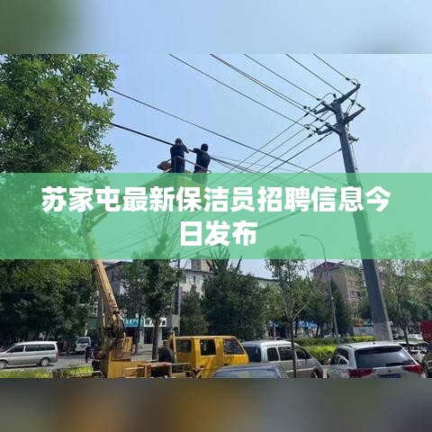 苏家屯最新保洁员招聘信息今日发布