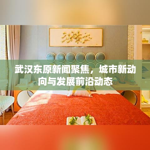 武汉东原新闻聚焦，城市新动向与发展前沿动态