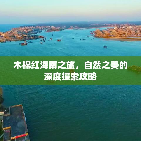 公司动态 第267页