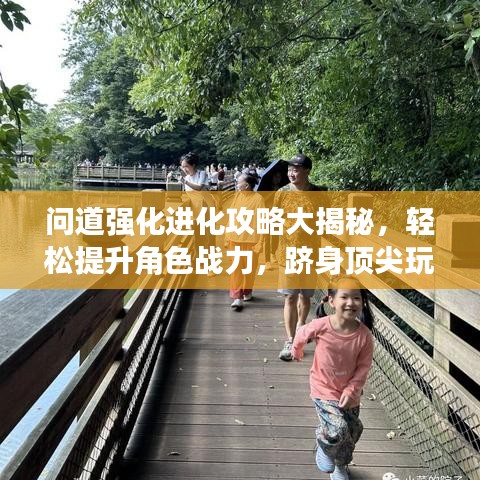 问道强化进化攻略大揭秘，轻松提升角色战力，跻身顶尖玩家行列！