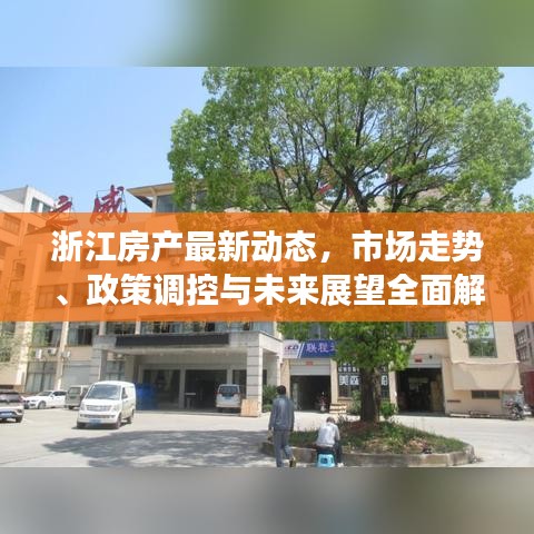 浙江房产最新动态，市场走势、政策调控与未来展望全面解析