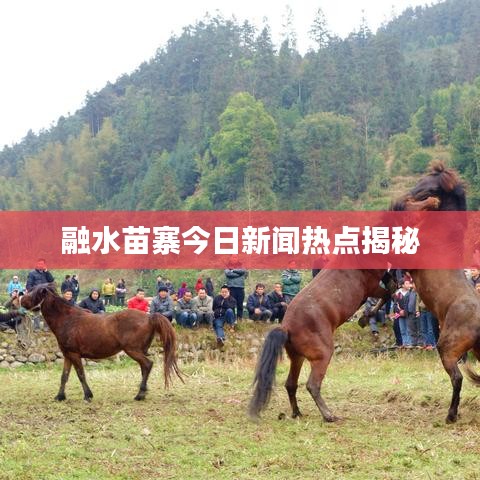 融水苗寨今日新闻热点揭秘