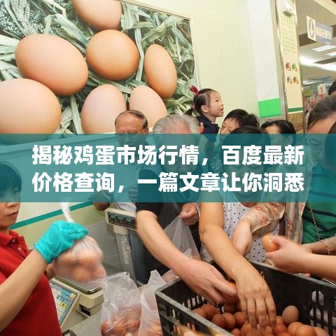 揭秘鸡蛋市场行情，百度最新价格查询，一篇文章让你洞悉价格走势！
