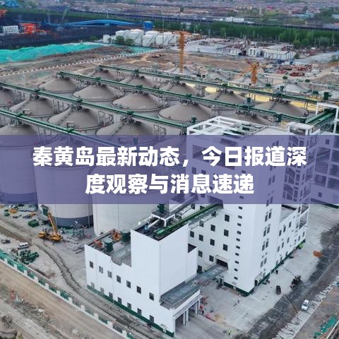 秦黄岛最新动态，今日报道深度观察与消息速递