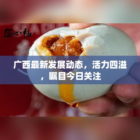 广西最新发展动态，活力四溢，瞩目今日关注