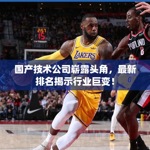 国产技术公司崭露头角，最新排名揭示行业巨变！