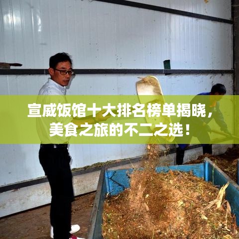 宣威饭馆十大排名榜单揭晓，美食之旅的不二之选！