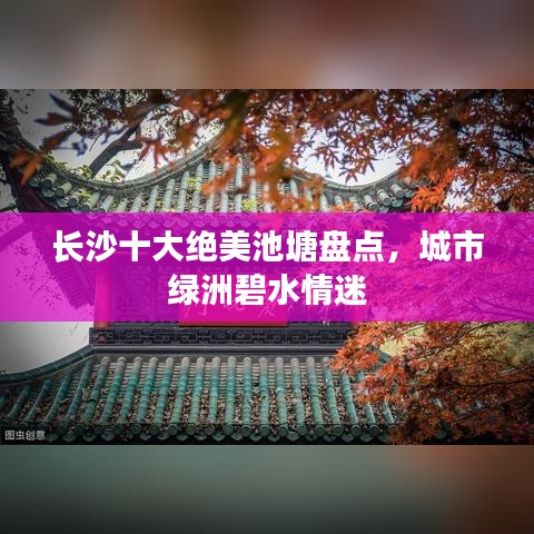 长沙十大绝美池塘盘点，城市绿洲碧水情迷